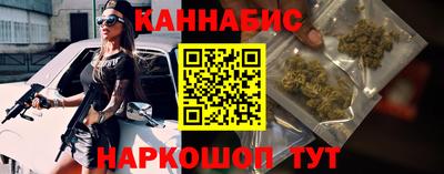 дмт Аргун
