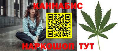 дмт Аргун