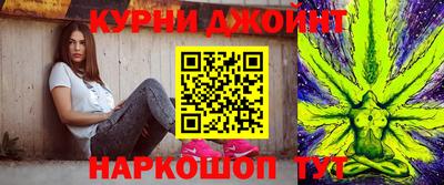 дмт Аргун