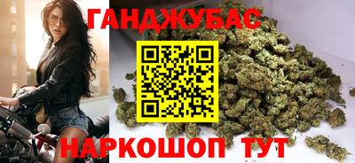дмт Аргун