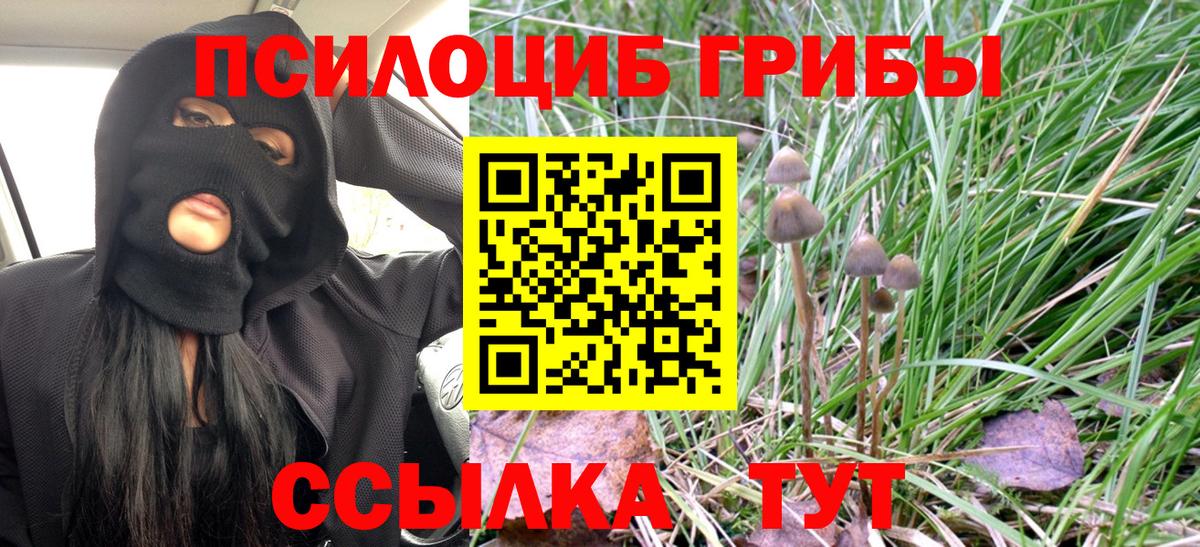 Псилоцибиновые грибы Psilocybine cubensis  Вход с VPN  Богданович 