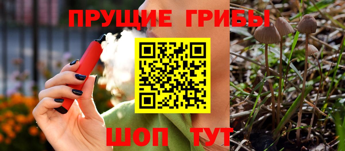 Галлюциногенные грибы мицелий Богданович